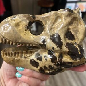 Picture Jasper dinosaur head